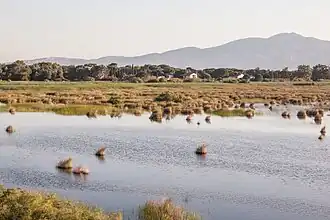 Nationalpark Schinias-Marathon