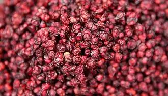 Getrocknete Beeren der Schisandra chinensis