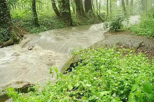Während eines Sommergewitters