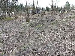 Schienen der Bootsschleppe, hinten die Havel