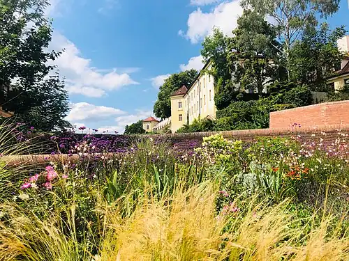 Schlossmauer von Schloss Dachau, von der Rathaus-Terrasse aus gesehen. Aufnahme im Sommer, im Vordergrund Blumen und Gräser.