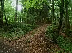 Schloss Friedburg: Geländespuren