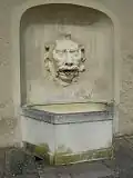 Maskaron, Brunnen