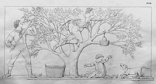 19. Äpfelbrechen (H&nbsp;I).[9]