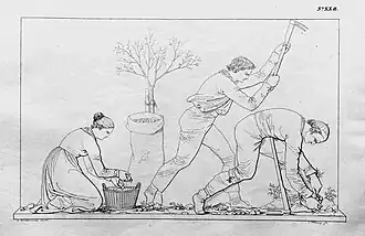 28. Kartoffelernte (H&nbsp;XX).[18]