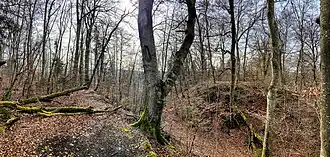 Burgruine Schloßberg