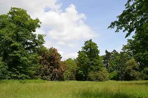 Teil des Landschaftsgartens