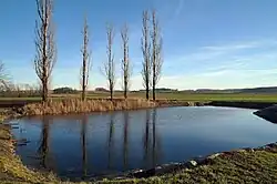 Quellteich der Schmida