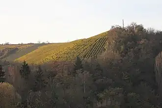 Blick von der über den Neckar führenden Aubrücke (L 1100) westwärts zum Schnarrenberg
