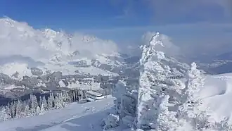 Ausblick vom Schneeberg Richtung Nordosten
