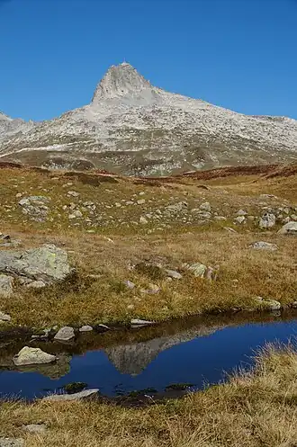 Schneehüenerstock gespiegelt in einem Seelein am Pazolastock