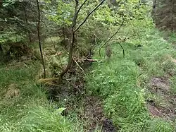 Schneidersbach Quelle