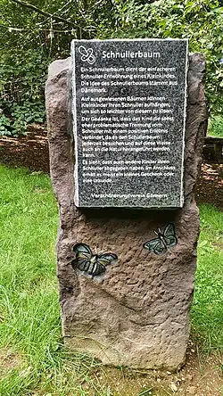 Auf der Steintafel eingravierter Text: „Schnullerbaum. Ein Schnullerbaum dient der einfacheren Schnuller-Entwöhnung eines Kleinkinds. Die Idee des Schnullerbaums stammt aus Dänemark. Auf ausgewiesenen Bäumen können Kleinkinder ihren Schnuller aufhängen, um sich so leichter von diesem zu lösen. Der Gedanke ist, dass das Kind die sonst eher problematische Trennung vom Schnuller mit einem positiven Erlebnis verbindet, da es den Schnullerbaum jederzeit besuchen und auf diese Weise auch an die Natur herangeführt werden kann. Es sieht, dass auch andere Kinder ihren Schnuller abgegeben haben. Im Anschluss erhält es meist ein kleines Geschenk oder eine Urkunde. Verschönerungsverein Gönnern“