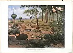 Tiere in ihrer Umgebung – Australien, veröffentlicht 1910–1920, aus der Sammlung des Centre Céramique in Maastricht.