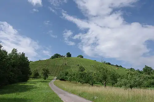 Weinberge am Schorndorfer Grafenberg