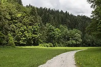 Naturschutzgebiet nahe der Staatsstraße
