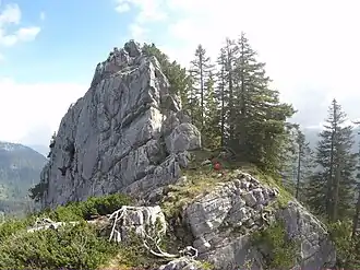 Gipfelbereich des Schreisteins