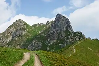Arlspitze von Süden; links hinten der Hauptgipfel (2215 m ü. A.), rechts der von Großarl sichtbare Vorgipfel (ca. 2185 m ü. A.)