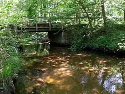 Schwarzbach nahe beim Jagdschloss Mönchbruch