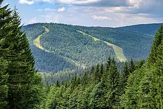 Blick von Osten auf den Zwieselberg