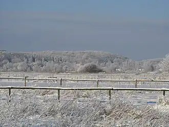 Der Schwarze Berg aus den Schwingewiesen gesehen