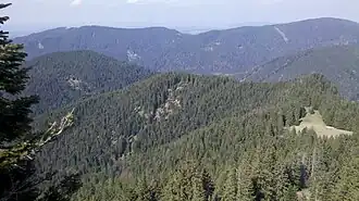 Schweinberg, Schwarzbergel und Schwarzwand (von links nach rechts) vom Geierstein aus nach Norden