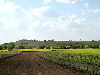 Südseite des Naturschutzgebietes Schwellenburg