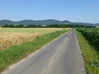 Blick von einem Fahrweg bei der Grillhütte Hertingshausen (am Hertingshausener Bach, nahe K&nbsp;22) westnordwestwärts zu den Langenbergen: Bensberg (links), Laufskopf (mittig links), Schwengeberg (mittig rechts) und Burgberg (rechts)