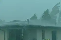 Man sieht Teile eines flachen Aluminiumdaches mit windgebogenen Bäumen dahinter. Alles ist hinter einem Schleier schräg fallenden Regens, der mit Hagelkörnern vermischt ist.