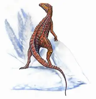 Scutellosaurus lawleri