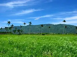 Ansicht des Haian-Gebirges von der Küste aus