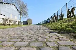 Blick auf das Kopfsteinpflaster beim Beginn des Sektors