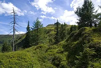 Das Goldeck, gesehen aus Blickwinkel Route 274