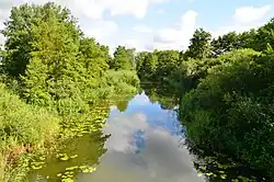 Ucker kurz unter dem Oberuckersee