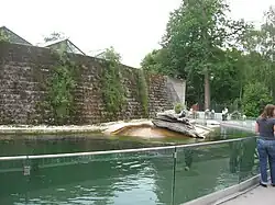 Seehundanlage (eröffnet 2003, umgebaut ab Oktober 2024)