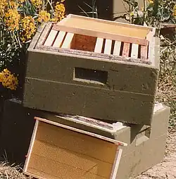 Zarge mit Rähmchen mit eingelöteter Mittelwand