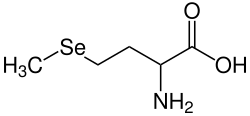 Struktur von Selenomethionin
