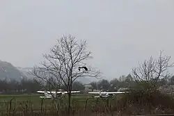 Divci – Sport-Flughafen