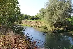 Веселиновац