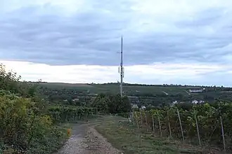 Sender Kleinkarlbach an der Nordflanke