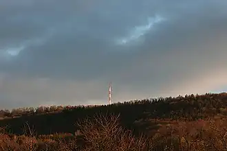 Braunenberg mit Sendeturm