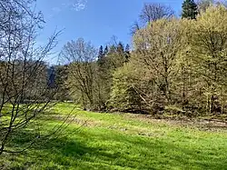 Sengbachtalaue unterhalb der Staumauer