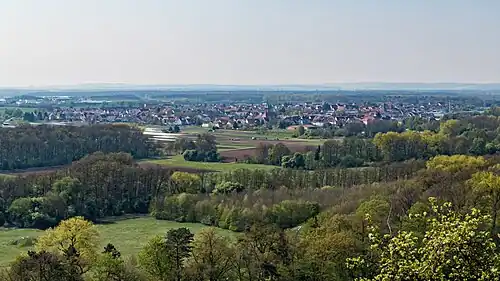 Schweinfurter Becken mit Sennfeld. Blick von der Oberen Mainleite über den Main (am Fuß des Hangs, nicht sichtbar) auf Auwälder am Sennfelder Seenkranz und dahinter Sonderkulturen