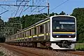 Serie 209-2000 für Lokalzüge