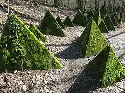 Höckerlinie entlang der Serine