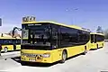 Setra S 416 LE business