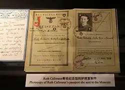 Bild des Reisepasses wie beschrieben