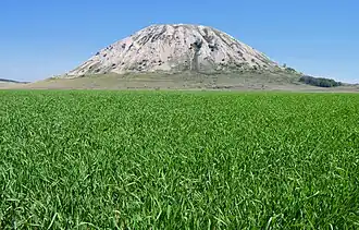 Einzelner Hügel in der Steppe von Baschkortostan gelegen