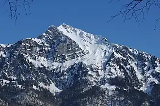 Sichelförmige Falten am Sichelchamm