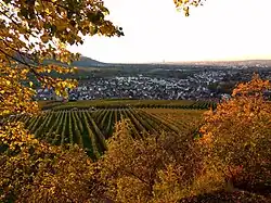 Aussicht Richtung Rommelshausen und Fellbach